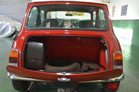 ROVER MINI